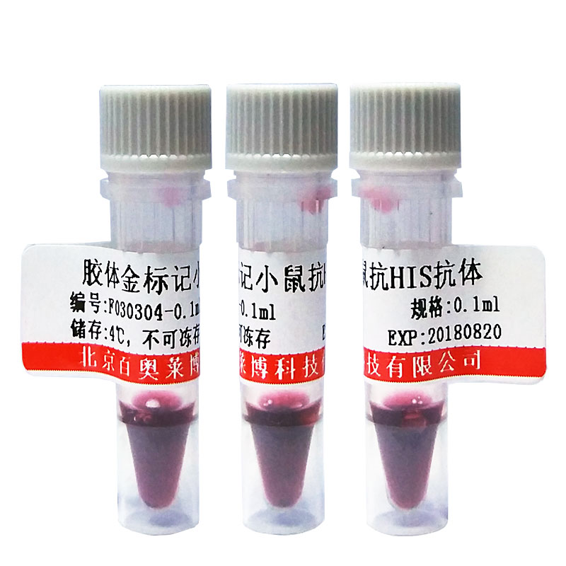 胶体金标记小鼠抗HIS标签抗体图片